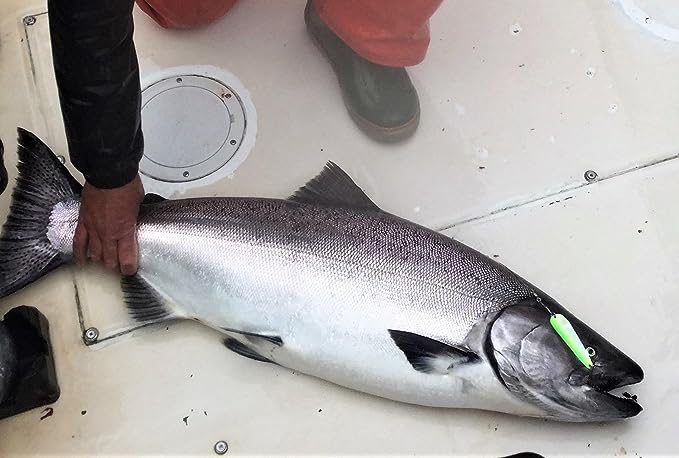 Lemon Lime 2-Pack image 3